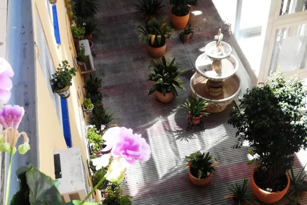 El Patio De San Bernardo Apartment Севиля Екстериор снимка