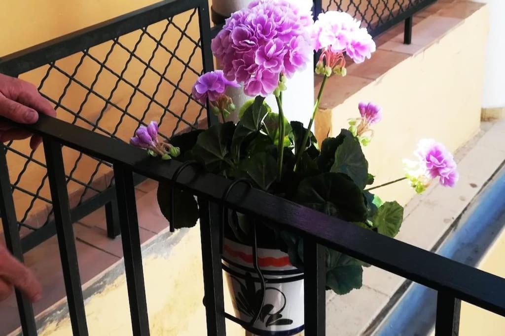 El Patio De San Bernardo Apartment Севиля Екстериор снимка