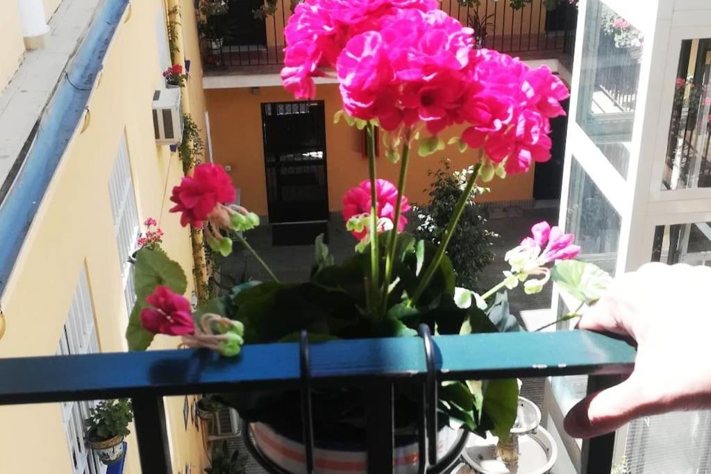 El Patio De San Bernardo Apartment Севиля Екстериор снимка